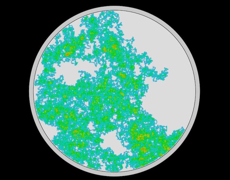 Petri dish